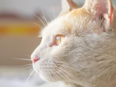 2017关于双十二的段子搞笑大全 有关于双十二的经