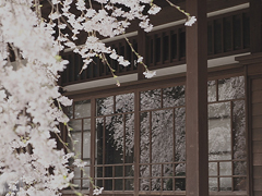 朋友圈小寒的祝福语2018最新 关于小寒的朋友圈祝