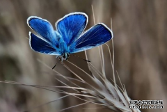 2018新的一年励志感言 2018年的励志感言经典精选